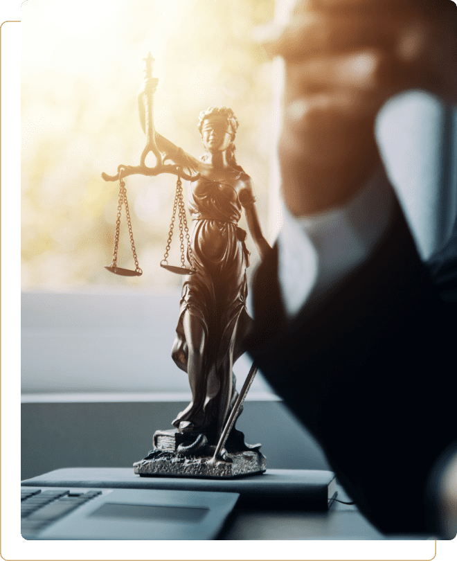 img Law Firms System
