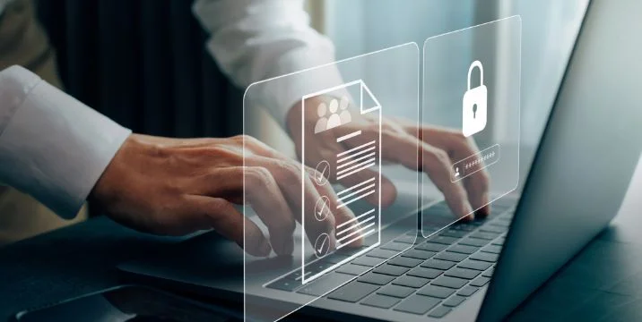 img security assessments