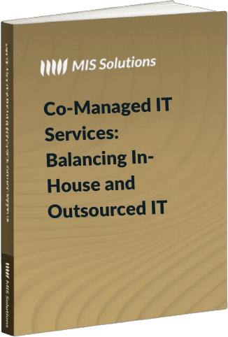 What You Need to Know About Co-Managed IT
