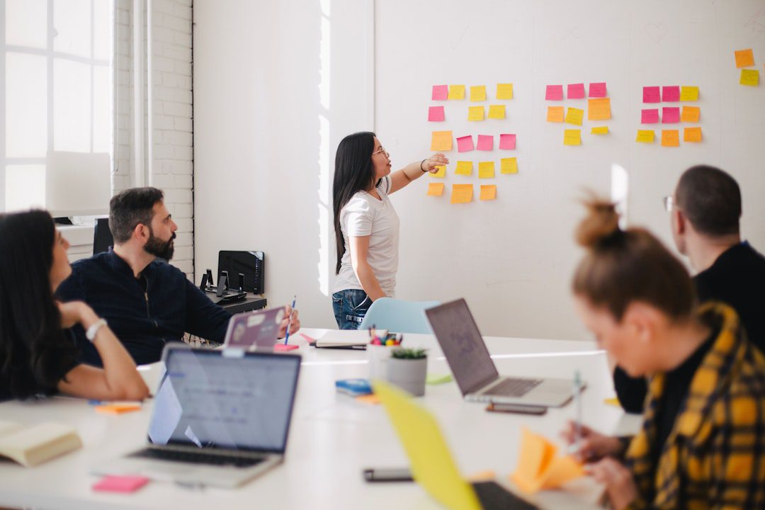 Alt 1: IT Project Management